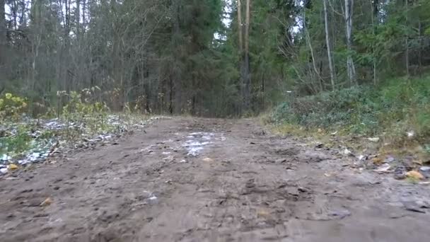 Střelba ze zmrazených špinavé silnici v lese — Stock video