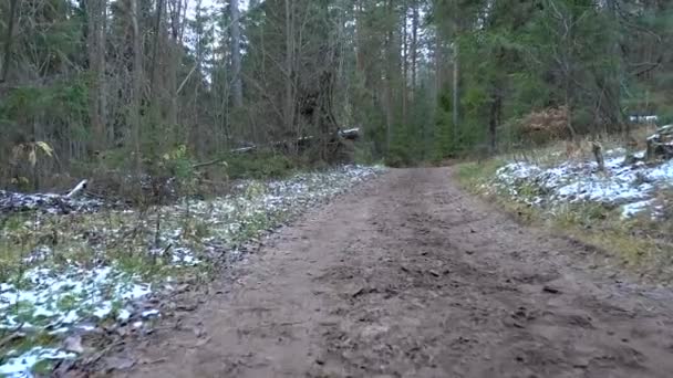 Vídeo de estrada suja congelada na floresta — Vídeo de Stock