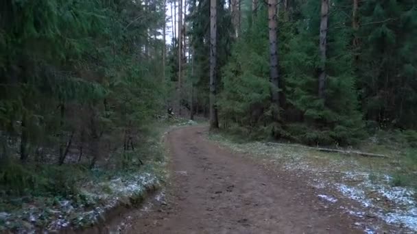 Prise de vue de la route boueuse gelée dans la forêt de sapins — Video
