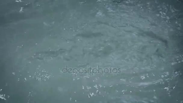 Eau bleue dans la piscine spa — Video