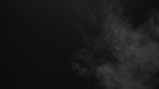 White steam smoky cloud of cigarette — Stock Video