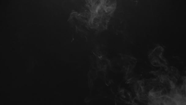 Isolated steam cloud of cigarette — Stock Video