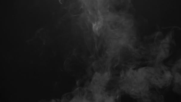 Steam cloud of cigarette — Stock Video