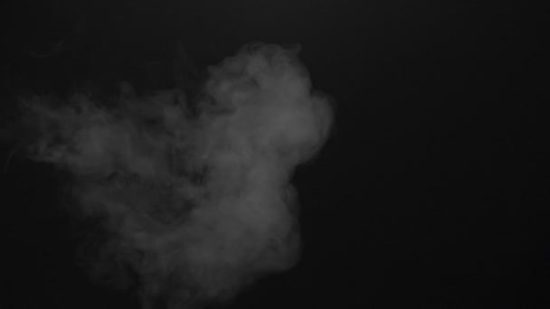Video van geïsoleerde damp wolk — Stockvideo