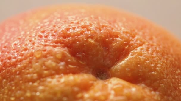 Кожа из свежего грейпфрута — стоковое видео