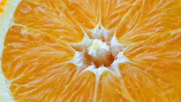 Rebanada fresca de naranja — Vídeo de stock