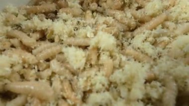 Talaş içinde sürünen kurtçuklar