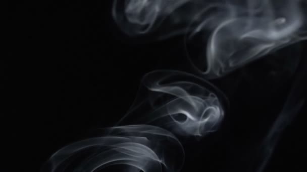 Vit rök rykande arom stick — Stockvideo
