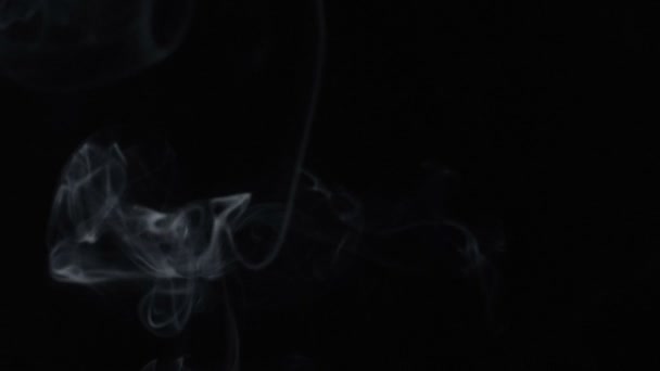 Humo blanco de palo de aroma humeante, video — Vídeo de stock