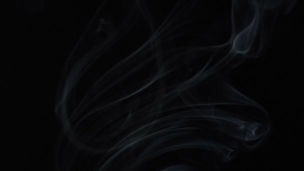 Witte Rokerige wolk van stomen aroma stok, video — Stockvideo