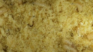 Kurtçuklar talaş içinde kıpır kıpır