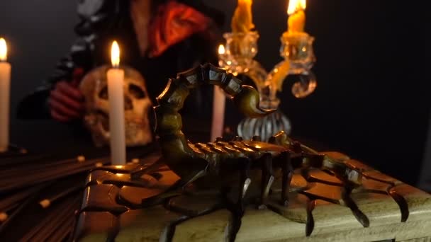 Женщина, скорпион и ритуал — стоковое видео