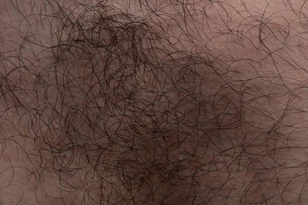 Foto tekstur tubuh pria dengan rambut, tembakan makro — Stok Foto
