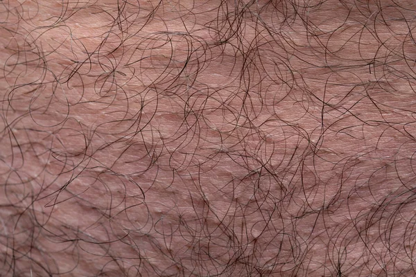 Foto de homem púbis com os cabelos pretos, foto close-up — Fotografia de Stock
