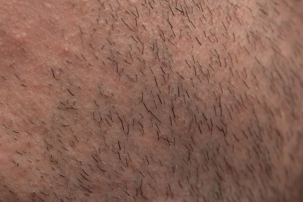 Textura da cerda do homem com cabelos pequenos, foto close-up — Fotografia de Stock