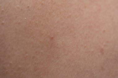 Küçük tüylü kadın derisi, yakın plan fotoğraf.