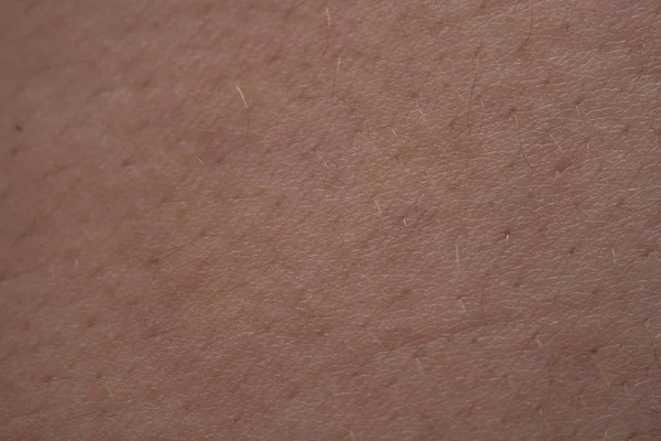 Photo of humans skin with small hairs, closeup photo — ストック写真