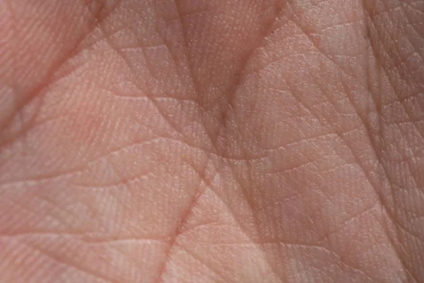 Photo of humans palm with wrinkles, closeup photo — Stock Photo, Image