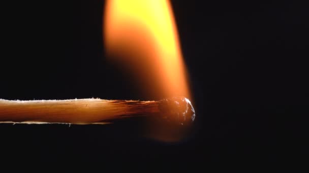 Video van brandende houten lucifer — Stockvideo