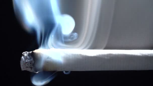 Vídeo de fumar cigarro no fundo preto — Vídeo de Stock