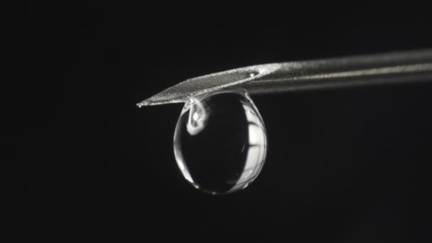Agulha de seringa com gota de líquido transparente — Vídeo de Stock