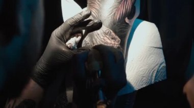 Shooting of doing dark tattoo of snake on woman in studio