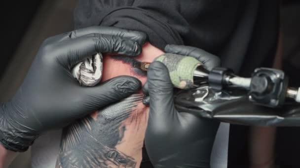 Vídeo de homem tatuador recebendo tatuagem de cobra no salão — Vídeo de Stock