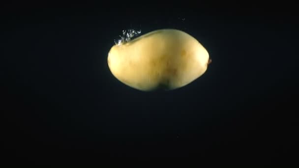 Skott av fallande vietnamesisk mango i vattnet på svart bakgrund — Stockvideo