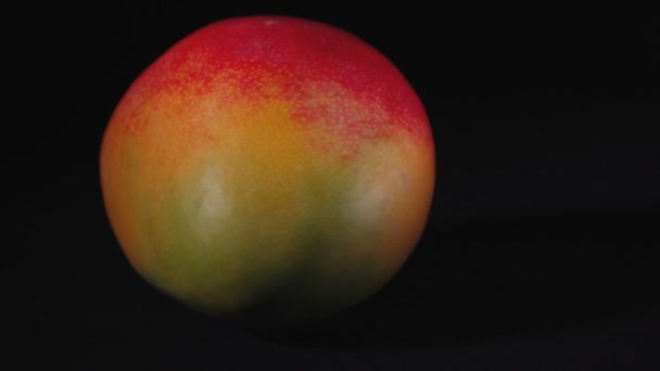 Съемка вращающегося экзотического манго на черном фоне — стоковое видео