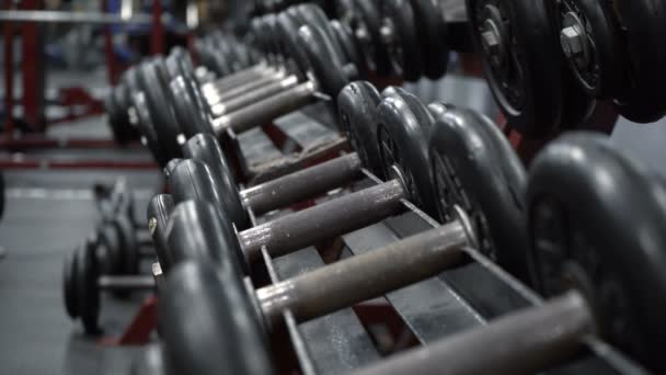 Shooting of dumbbells in fitness gym — Stock Video