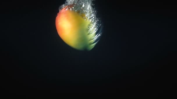 Falling mango in the water on black background — Stock Video