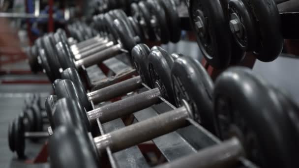 Video of rack with dumbbells in gym — Stock Video