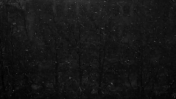 Відео падає сніг у сутінках на чорному тлі — стокове відео