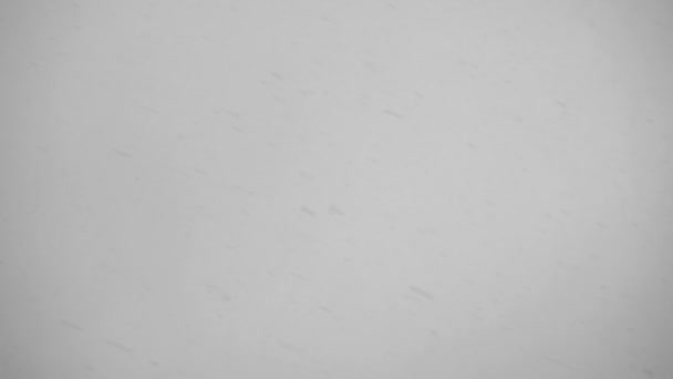 Střelba padající sníh v soumraku na šedém pozadí — Stock video