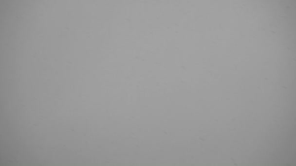 Filmagem de queda de neve ao anoitecer no fundo cinza — Vídeo de Stock