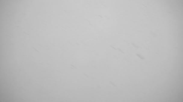 Padající sníh v soumraku na šedém pozadí — Stock video