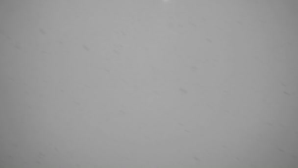 Видео снегопада в сумерках на сером фоне — стоковое видео