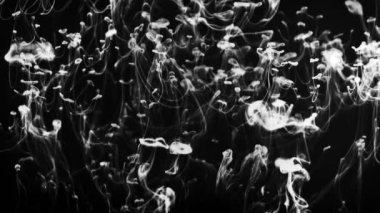 Suda akan beyaz dumanlı damlaların videosu