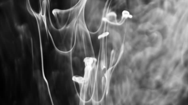 Záběry bílých kouřových kapek tekoucích v kapalině — Stock video