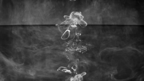 Video of smoke dissolving in liquid — Stock Video