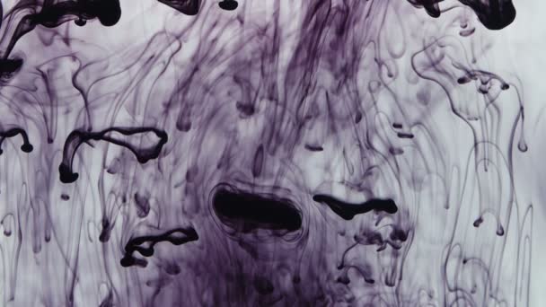 Texture of drops of purple paint falling in liquid — Stock Video