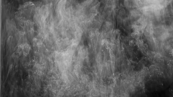 Footage of white smoke dissolving in water — Stock Video