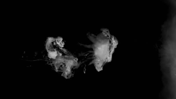 Schieten van rokerige wolken in het water — Stockvideo