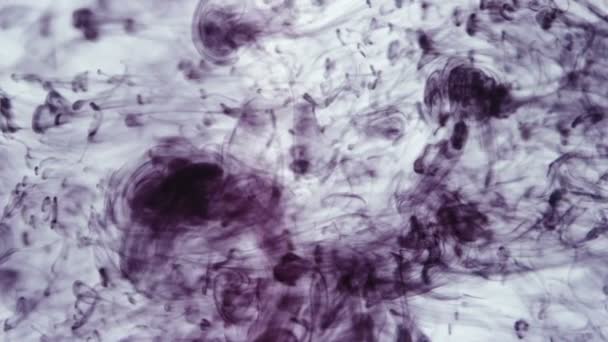 Images de gouttes d'encre violette tombant dans l'eau — Video