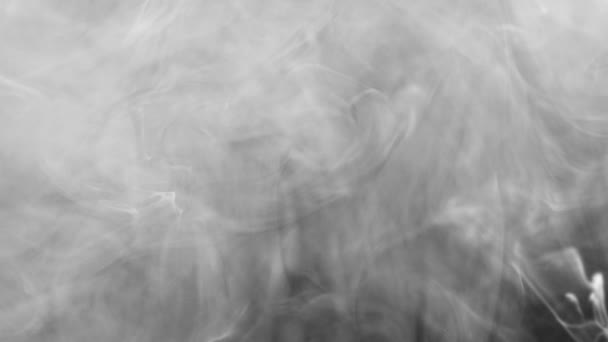 Footage of white smoky waves flowing in liquid — Stock Video