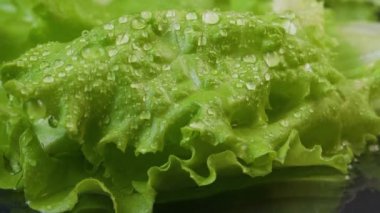 Su damlalı salata buzdağı videosu