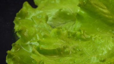 Yeşil salataya yarım domates düşme videosu