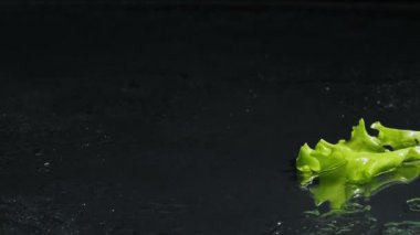 Düşen taze yeşil marul yapraklarının videosu.