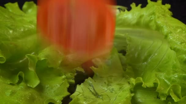 Filmik upadku świeżego pomidora na zieloną sałatę — Wideo stockowe