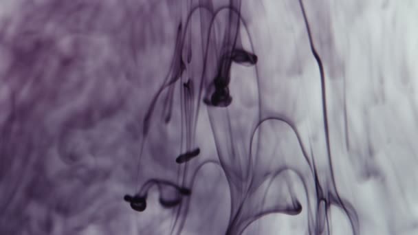 Footage of drops of purple paint falling in liquid — Stock Video